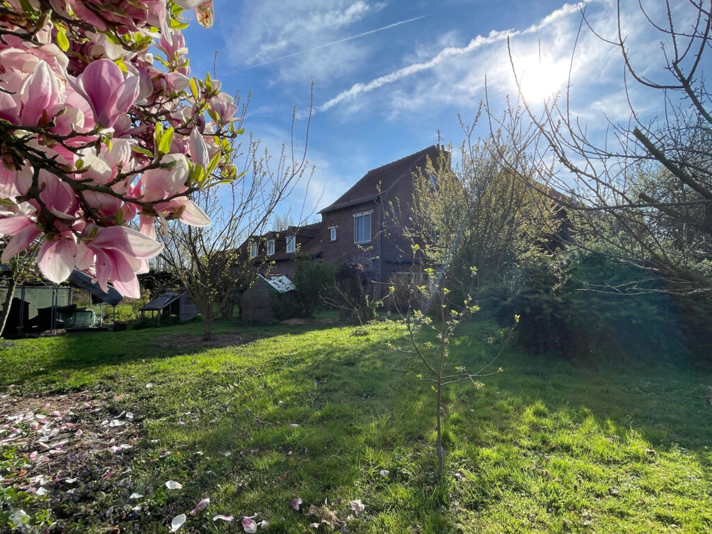 Façade arrière de la ferme, jardin arboré avec magnolia en fleurs et dépendances visibles à l’arrière