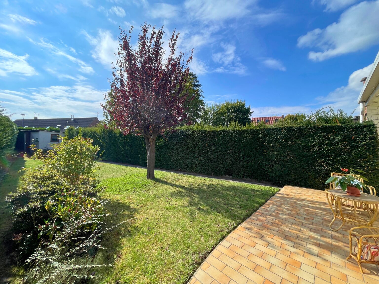 Jardin depuis véranda