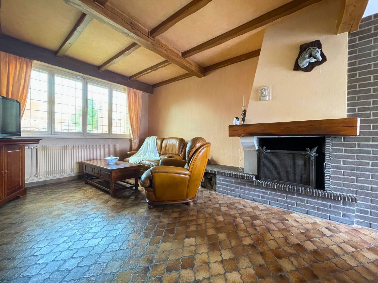 Salon avec chelinée